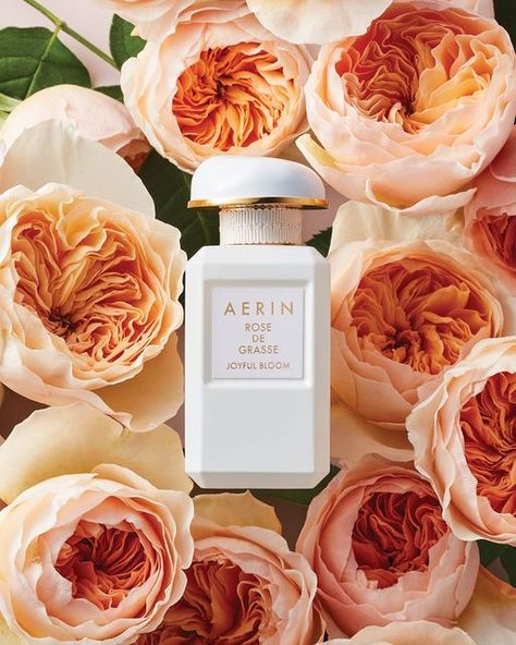 Aerin Perfume, Perfume Suggestions, Aerin Lauder, Beauty Ad, Peach Roses, Aesthetic Beauty, New Fragrances, Luxury Beauty, The Father