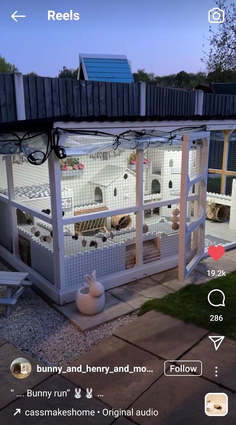 Bunny Outside Cage, Bunny Cage Outside, Boho Bunny Enclosure, Bunny Homes Outdoor, Rabbit Home Outdoor, Outdoor Bunny Play Area, Outside Bunny Cages, Diy Rabbit Shed, Cute Rabbit Cage Ideas