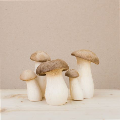 Natural Mushrooms, Mushroom Project, Painting Picnic, King Oyster, Mushroom Cultivation, Oyster Mushroom, Edible Mushrooms, Kitchen Art, Fruits And Veggies