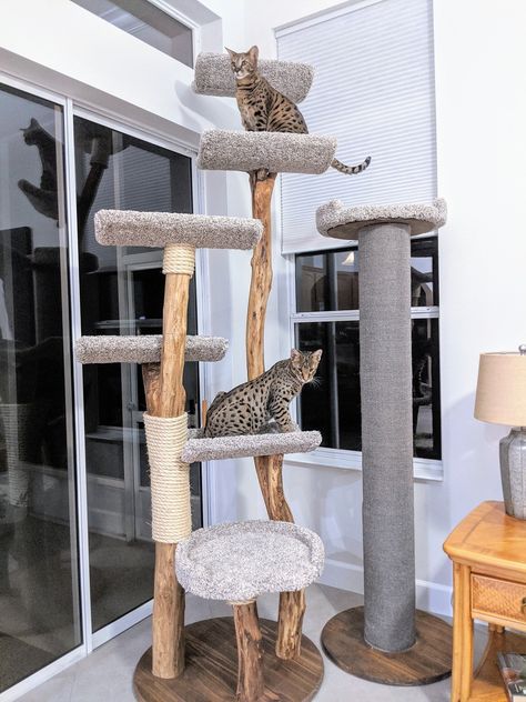 Make Your Own DIY Cat Tree — SAVANNAHGANS® - The International Savannah Cat Magazine Cat Tower Plans, Cat Scratcher Tree, Diy Cat Tower, Cat Tree Plans, Cat House Plans, Cat Furniture Design, Cat Magazine, Diy Cat Tree, Little House Plans