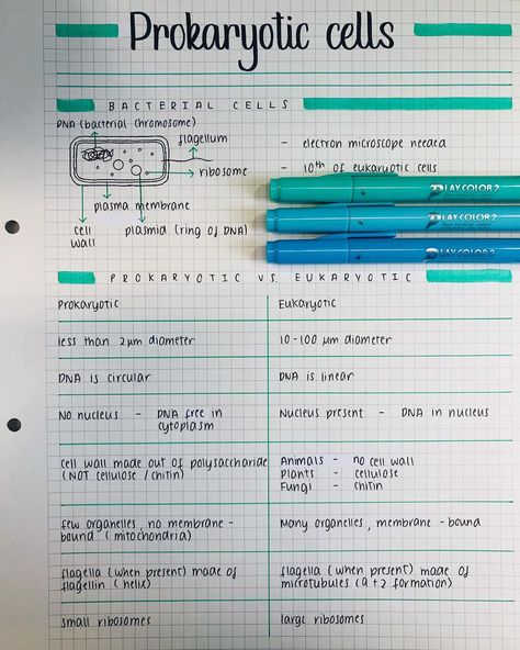 Notes On Biology, School Notes Biology, How To Make Notes For Studying Biology, Biology Alevel Notes, Organized Biology Notes, Memes Nursing, Nursing Pictures, Planner School, Funny Nursing