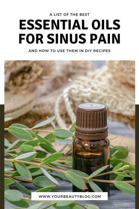 Oils For Sinus Headache, Sinus Pressure Relief, Essential Oils Sinus, Sinus Congestion Relief, Oils For Sinus, Sinus Infection Remedies, Sinus Pain, Congestion Relief, Sinus Relief