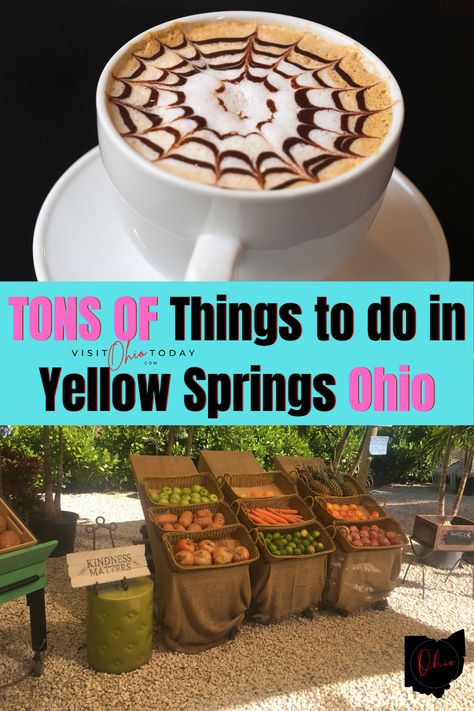 Yellow Springs Ohio Things To Do, Things To Do In Dayton Ohio, Yellow Springs Ohio, Ohio Vacations, Greene County, Ohio Travel, Yellow Springs, Free Thanksgiving, Dayton Ohio