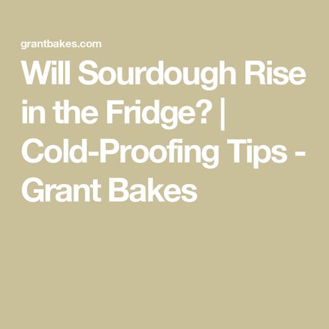 Will Sourdough Rise in the Fridge? | Cold-Proofing Tips - Grant Bakes Baking Sourdough Bread, Sourdough Starter From Scratch, Baking Sourdough, Hoping For The Best, Sourdough Bread Recipe, Sourdough Starter, Sourdough Bread, Getting Started, Bread Baking