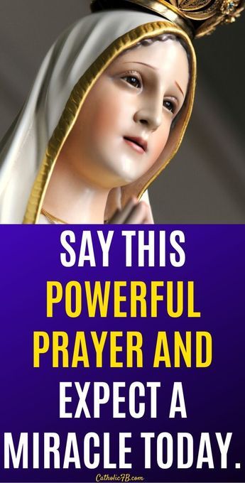 Morning Prayers For Today For Protection, Morning Prayers For Today, Prayer For A Miracle, Catholic Prayer For Protection, Gods Protection, Rosary Prayers, Prayers Catholic, Rosary Prayers Catholic, Good Morning Prayer Quotes