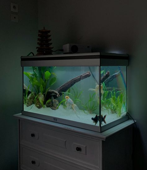 Fancy Goldfish Tank Ideas, Bedroom With Fish Tank, Cool Fish Tank Decorations, Indoor Rabbit Cage, Aqua Scaping, Tank Terrarium, Fish Aquarium Decorations, Fish Tank Themes, Fish Tank Terrarium