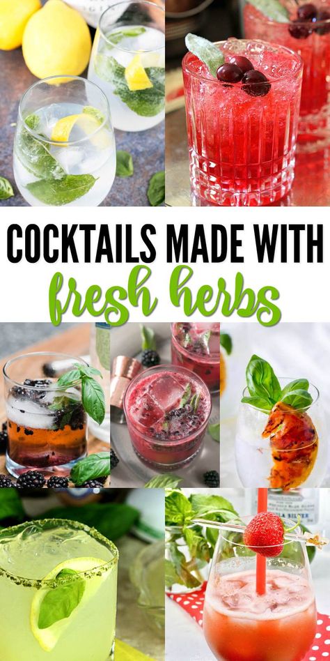 Drinks With Herbs, Basil Ideas Fresh, Cocktails With Fresh Mint, Cocktails With Herbs, Fresh Mint Cocktails, Fresh Herbs Recipes, Fresh Cocktails Summer Drinks, Herb Cocktail Recipes, Herbal Cocktail Recipes