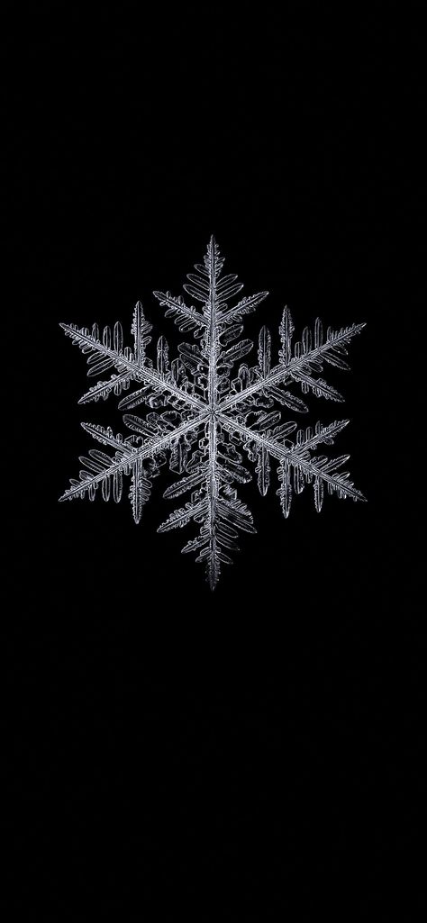 Hd Iphone Wallpaper, Winter Wonderland Wallpaper, Christmas Wallpaper Hd, Snowflake Wallpaper, Shelf Inspiration, Snowflakes Real, Graffiti Wallpaper Iphone, Hd Wallpaper Android, Gothic Wallpaper