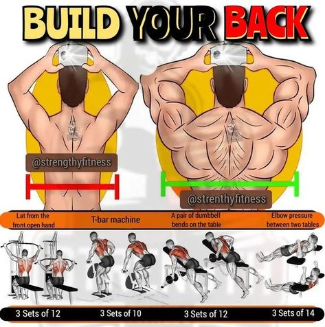 Bodyweight Back Workout, Back Workout Routine, Boxing Training Workout, Workout Gym Routine, Gym Workout Guide, Workout Program Gym, Bodybuilding Workouts Routines, Trening Sztuk Walki, Gym Workout Planner