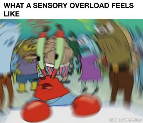 Sensory Overload Meme, Sensory Memes, Mental Tips, Am I Dreaming, Funny Car Memes, Mr Krabs, Sensory Overload, Meme Page, Crush Memes