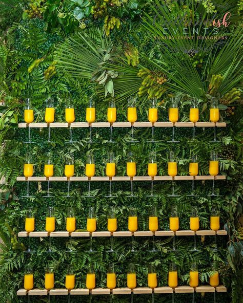 Luxury Event Designer on Instagram: “How cool does this custom made champagne wall look? We created this wall with fresh greenery for our client’s conference in January 2022.…” Champagne Wall Greenery, Citrus Wedding, Quirky Decor, Conference Design, Event Backdrop, Spring Summer Trends, Luxury Event, Champagne Wedding, Tropical Wedding