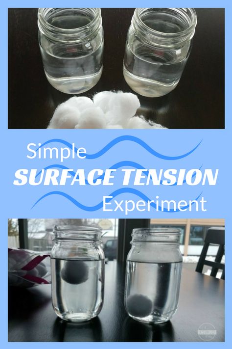 Simple Surface Tension Science Experiment - this is such a fun, easy science project for kids to learn about surface tension. This is perfect for kindergarten, first grade, 2nd grade, 3rd grade, 4th grade, 5th grade, summer learning, science fair, and homeschool. Science Project For Kids, Easy Science Projects, Surface Tension, Kid Experiments, Easy Science Experiments, Science Projects For Kids, Cool Science Experiments, Fair Projects, Summer Learning