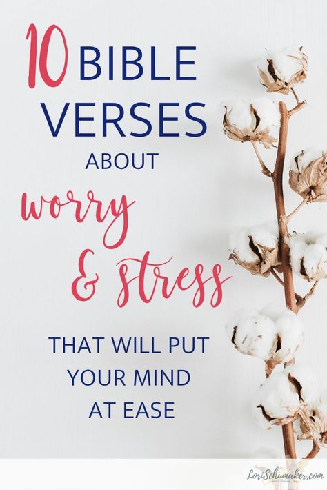 We long for a wholeness that comes from the One who loves us and can do immeasurably more than anything we can do on our own. Here are 10 Bible verses about worry and stress that will give you hope and put your mind at ease. Plus, a war room prayer to combat worry and stress. #bibleverses #worryandstress #worry #stress #prayer #bibleversesaboutworryandstress #hope #livesurrendered #trustGod Verses About Worry, Bible Verses About Worry, Worry Bible Verses, Verses About Trust, Immeasurably More, Christmas Bible Verses, Christmas Prayer, Learning To Pray, Christmas Bible