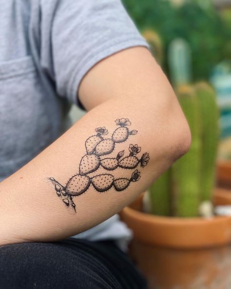 TEMPORARY TATTOOS (@naturetats) • Instagram photos and videos Cactus Snake Tattoo, El Nopal Tattoo, Cactus Fruit Tattoo, Prickly Pear Cactus Tattoo Traditional, Snake And Cactus Tattoo, Saguaro Cactus Blossom Tattoo, Cactus Arm Tattoo, Nopal Tattoo Mexican, Black And White Cactus Tattoo