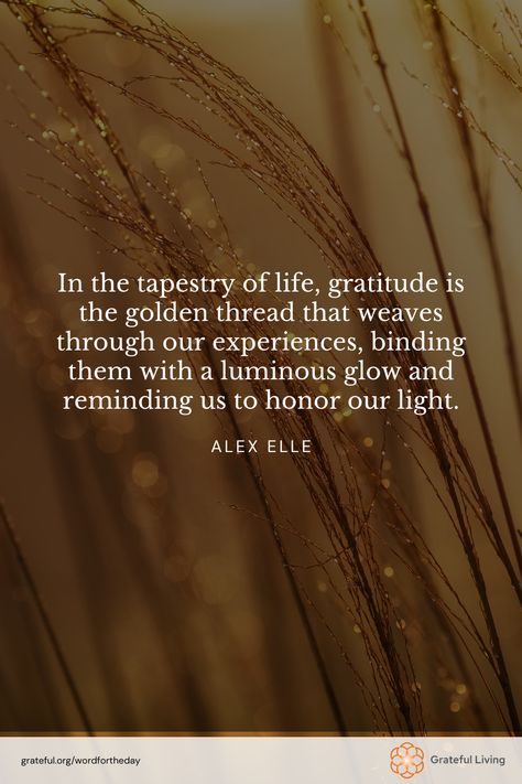 "In the tapestry of life, gratitude is the golden thread that weaves through our experiences, binding them with a luminous glow and reminding us to honor our light." -Alex Elle  📷: Johnny McClung  #WordForTheDay #GratefulLiving #Gratitude #Gratefulness #Grateful #Quote #Quotes #DailyQuote #QuoteOfTheDay #GratitudePractice #GratitudeDaily Thread Of Life, Alex Elle, Tapestry Quotes, Golden Thread, Practice Gratitude, One Word, Daily Quotes, The Golden, Our Life