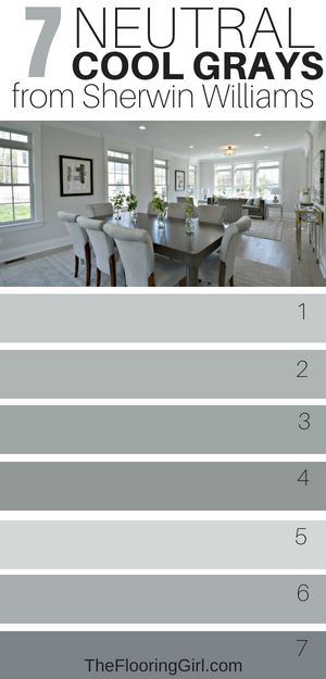 Grey House Paint Interior, Grey Paint Kitchen Walls, Very Light Gray Paint Sherwin Williams, Grey Paint For Kitchen Walls, Cool Gray Living Room, House Paints Inside, Essential Grey Sherwin Williams, Sherwin Williams Unique Gray, Muted Grey Color Palette