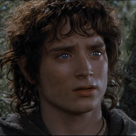 The Lord of the Rings: The Fellowship of the Ring Samwise Gamgee, The Fellowship Of The Ring, Frodo Baggins, One Does Not Simply, Elijah Wood, Fictional Men, Fellowship Of The Ring, The Lord Of The Rings, Ocean Creatures