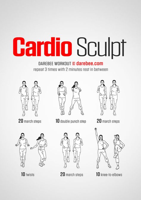 Cardio Sculpt Workout Sculpt Workout, Effective Ab Workouts, Cardio Workout At Home, Office Exercise, Swivel Chairs, Ab Workout At Home, Free Workouts, Fitness Yoga, Workout For Beginners