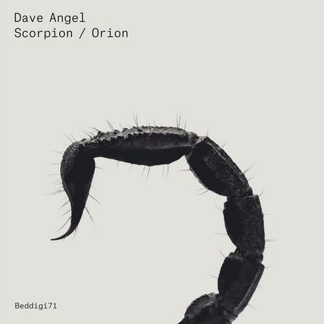 Dave Angel - Scorpion / Orion (File, MP3) at Discogs Music Peace, Peace Love Music, The Scorpions, Art Mood Board, Skateboard Photography, Trance Music, Film Poster, Graphic Design Projects, Design Posters