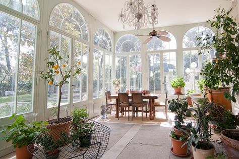 Tour a Historic Classical Mansion in Madrid, Spain | HGTV.com's Ultimate House Hunt | HGTV Arched Windows Interior, Classical Mansion, Greenhouse Sunroom, Upstairs Deck, Small Sunroom, Conservatory Design, Sunroom Designs, Conservatory Dining Room, Conservatory Dining