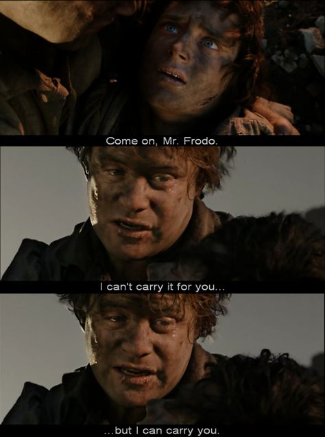 The Lord of the Rings: The Return of the King quotes. This is one of the best scenes of the whole series! Grey Havens, Kind Quotes, Samwise Gamgee, The Return Of The King, J.r.r. Tolkien, Frodo Baggins, King Quotes, Into The West, The Two Towers