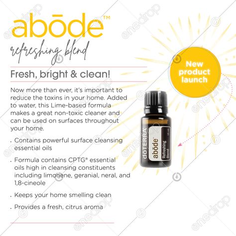 Abode Doterra, Perfumes Vanilla, Vanilla Benefits, Vanilla Planifolia, Fluffy Comforter, Eucalyptus Tea, Ancient Aztecs, Doterra Wellness Advocate, Lemon Eucalyptus