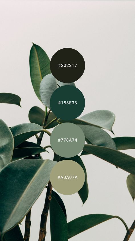 Green Decor Palette, Office Forest Green, Emerald Green Colour Pallet, Color Schemes With Emerald Green, Green Color Swatches Colour Palettes, Forest Green Website Design, Green Emerald Color Palette, Emerald Branding Color Palette, Emerald Green Color Pallete