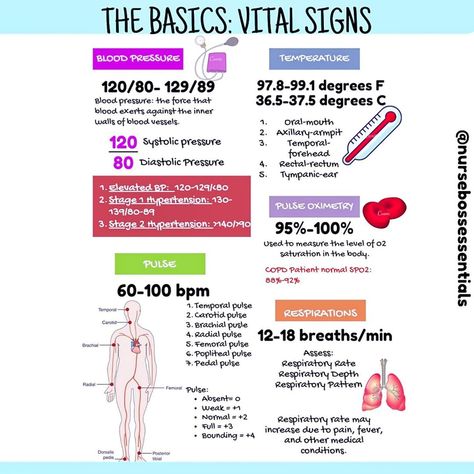 Nurse Vicky | Nurse Mentor on Instagram: “Back to the basics. Save this post for a quick review of vital signs “must knows”. . . #nurse #nurseproblems #nursingschool…” Vital Signs Nursing, Elderly Home Care, Nurse Problems, Cardboard Crafts Diy, Nursing School Notes, Vital Signs, Nursing Notes, Medical Education, Nclex