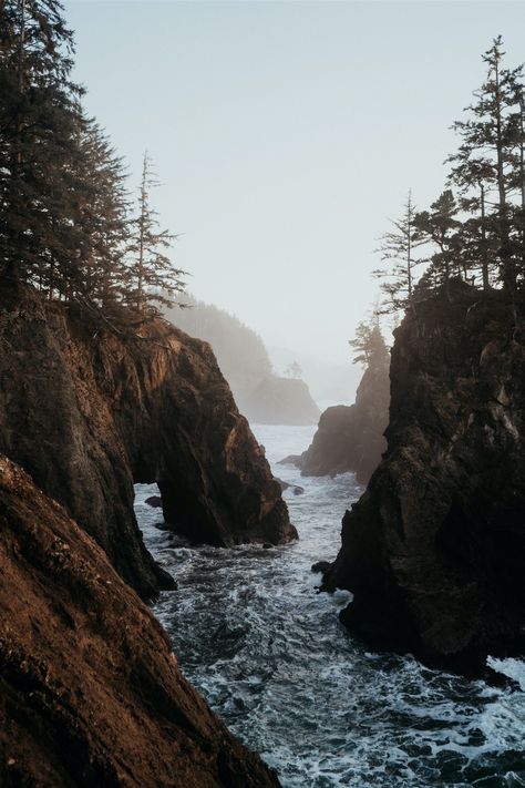 Want to plan an elopement on the west coast but not sure whether to choose OR or WA? Or maybe you want to experience the beach & forest but don't know if you can have both. Cassie and Cintia had the most stunning OR coastal elopement with their family & this blog discusses why the Oregon Coast is an ideal location for adventure elopements and elopements with guests. | Oregon Intimate Elopement Wedding | West Coast Adventure Elopement | Elopement Dress and Suit | Intimate Family Dinner Reception Foggy Coast Aesthetic, West Coast Photography, West Coast Beach Wedding, Oregon Coast Wallpaper, Forest Beach Aesthetic, Beach Forest Aesthetic, Coastal Forest Aesthetic, Pacific Coast Aesthetic, Oregon Beach Aesthetic