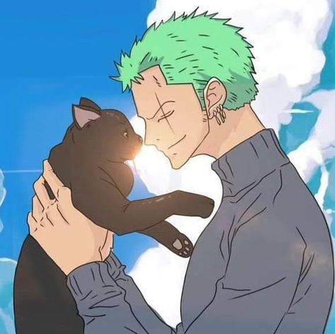 Zoro Cat, رورونوا زورو, One Piece Wallpaper Iphone, One Piece Funny, Zoro One Piece, One Peice Anime, Manga Anime One Piece, Roronoa Zoro, One Piece Manga