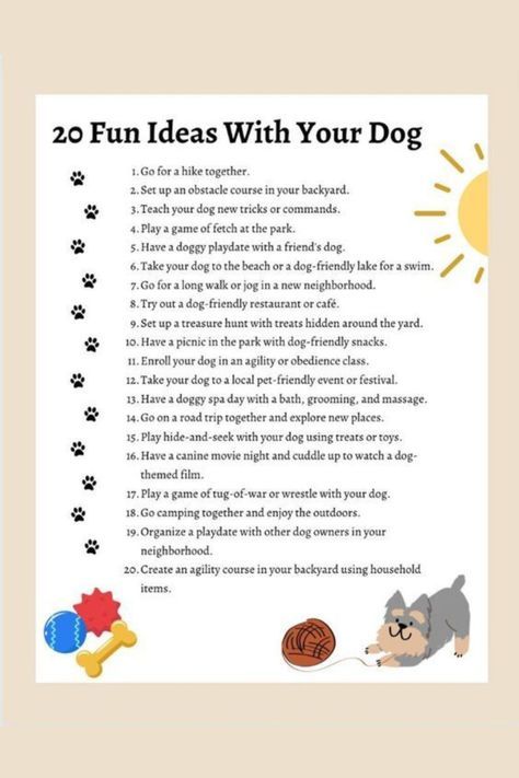 Activities With Dogs, Things To Do With My Dog, What To Do With Your Dog, Dog Date Ideas, Fun Things To Do With Your Dog, Things To Do With Your Dog, Indoor Dog Activities, Things To Do With Dogs, Dog Games Diy