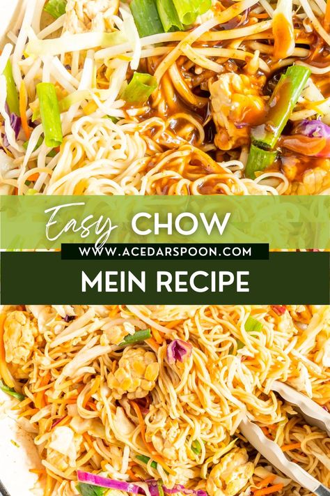 Easy Vegetable Chow Mein is an easy and delicious weeknight meal. Tempeh is mixed with coleslaw mix, bean sprouts, green onions, chow mein noodles and mixed with a stir-fry sauce. Garnish this chow mein with fresh cilantro, sesame seeds and extra stir-fry sauce on the side. Easy Chow Mein, Easy Chow Mein Recipe, Veggie Chow Mein, Tempeh Stir Fry, Vegetable Chow Mein, Yummy Noodles, Homemade Stir Fry, Chow Mein Recipe, Turkey Wraps