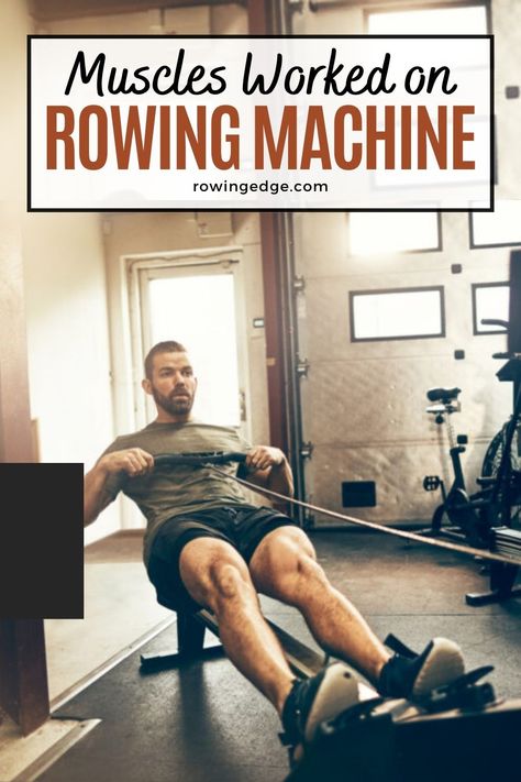 What muscles worked on rowing machine and how to maximize your workout. Get stronger and fitter with this comprehensive guide. Learn more now! Rowing Shell, Rowing Machine Workout, Upper Back Muscles, Indoor Rowing, Gluteal Muscles, Efficient Workout, Shoulder Muscles, Major Muscles, Rowing Machine