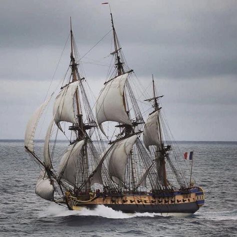 Tall ship under sail Hms Surprise, Freetime Activities, Hms Hood, Navi A Vela, Old Sailing Ships, Ship Of The Line, Sailing Vessel, Wooden Ship, Nautical Art