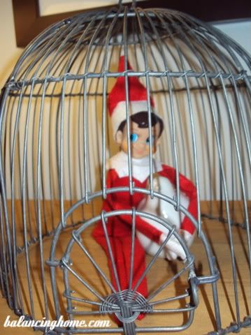 bird cage Goodbye Letter From Elf, Letter From Elf, Elf Goodbye Letter, Bird In A Cage, Elf Shelf, Goodbye Letter, Elf Letters, The Elf On The Shelf, Elf On The Shelf Ideas