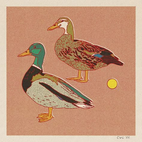 Caroline Clark on Instagram: "They’ll waddle their way into your heart." Mallard Ducks, Duck Art, Mallard Duck, Paper Color, Mallard, Color Textures, Rustic Design, Featured Artist, Paper Texture