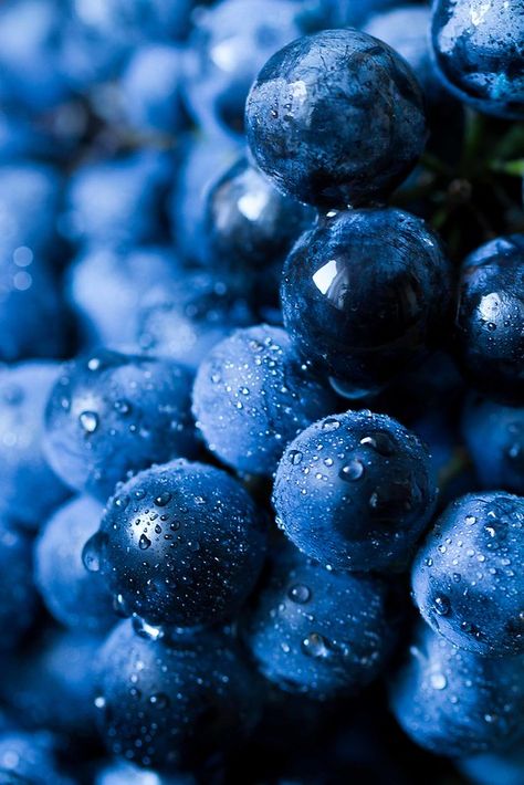 Blueberry Video, Blueberry Aesthetic, Blue Aesthetics, Deep Winter Colors, Monochromatic Art, Blue Fruits, Blue Berry, Fruit Wallpaper, Fruit Photography