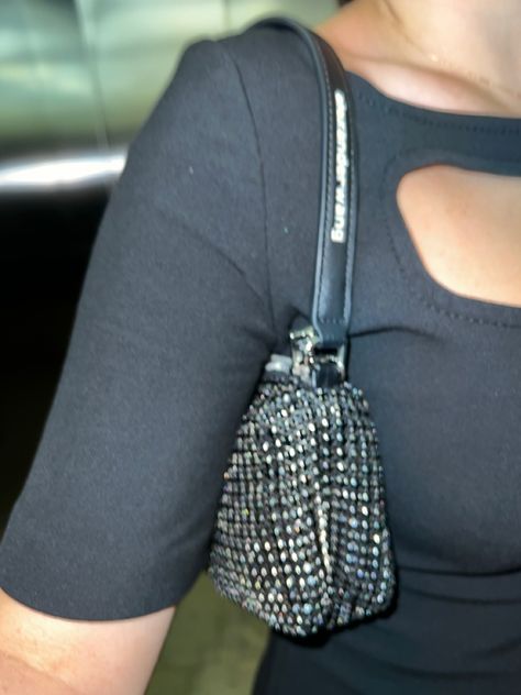 alexander wang crystal embellished mini bag with black leather strap and additional crossbody chain. Barely fits a phone but fashion over functionality. Perfect for a cocktailbar or fancy datenight. Goes with every evening outfit and comes in a vatiety of colors. Wang Bag, Alexander Wang Bag, Evening Outfit, Crystal Bags, Evening Outfits, Adele, Alexander Wang, Mini Bag, Date Night