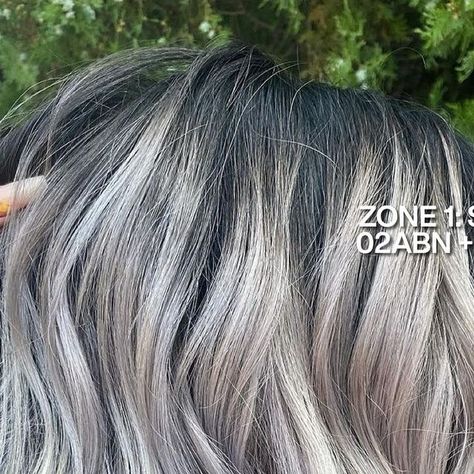 Redken on Instagram: "Are you ready to celebrate all shades of gray? The 🆕 Shades EQ Silver Strong collection gives you endless possibilities from gray to silver. Designed to enhance, neutralize, and transform 🩶  Read below for @hair.by.bria’s silver/gray Shades EQ formulation tips, and their full #RedkenRecipe.   1️⃣ “Make sure you have a clean even lift everywhere, so everything tones evenly 2️⃣ Let Shades EQ sit for the full 20 minutes even when it looks scary processing”  For this icy silver formula, Bria used 2 parts Shades EQ 09P, 1 part 08T, and a dash of 07P.  Are you loving our #ShadesEQSilverStrong looks? Tag a client who would absolutely rock this trend 🖤" Redken Shades Eq On Grey Hair, Redken Shades Eq Silver Gray Hair, Silver Redken Shades Eq Formula, Silver Blonde Shades Eq Formula, Silver Hair Shades Eq Formula, Shades Eq Silver Toner Formulas, Shades Eq Silver, Silver Hair Color Formula, Grey Hair Lowlights