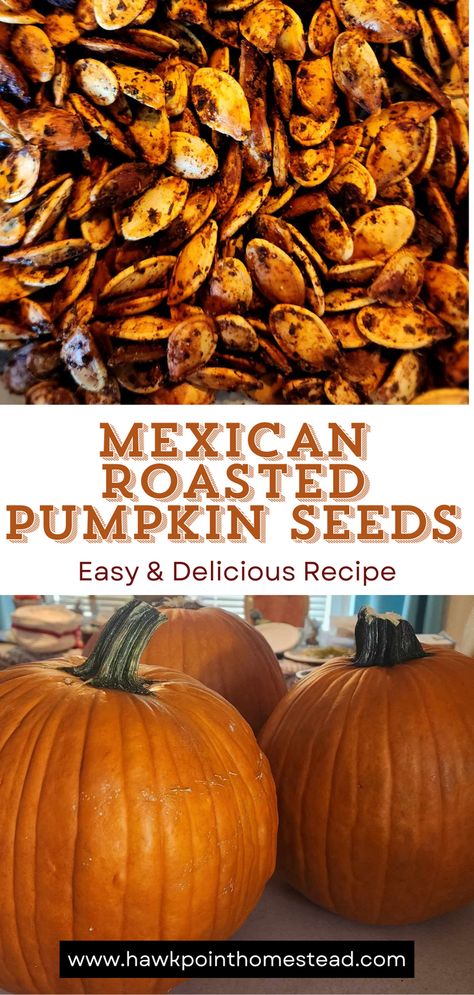 These delicious Mexican pumpkin seeds will surprise you with their wonderful taste. Some cumin, cilantro and chili powder give these crunchy pumpkin seeds just the right flavor to enjoy as a favorite Fall snack.
Making roasted pumpkin seeds is very easy and an activity kids will enjoy. Plus roasting the pumpkin seeds gives them a great crunchy healthy snack that they will love!
Pumpkin seeds are a delicious and nutritious snack.