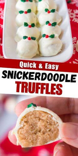 Snickerdoodle Truffles (Easy Oreo Cookie Truffles) Snickerdoodle Truffles, Golden Oreo Recipes, Blackberry Recipe, Oreo Cookie Truffles, Truffle Balls, No Bake Truffles, Cookie Truffles, Vanilla Oreo, Easy Christmas Candy Recipes