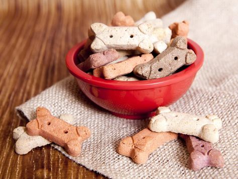 Sometimes it’s fun to make a healthy, homemade dog treat for your dog insetead of buying treats. Here are 16 healthy dog treat recipes you can make at home. Peanut Butter Dog Biscuits, Homemade Dog Cookies, Easy Dog Treat Recipes, Best Treats For Dogs, Dog Biscuit Recipes, Easy Dog Treats, Healthy Dog Treats Homemade, Pumpkin Dog Treats, Dog Treats Homemade Recipes