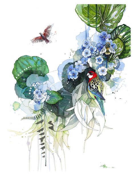 Rachel Walker — Kapiti Bloom Rachel Walker Watercolors, Rachel Walker Art, Eastern Rosella, Barbary Lion, Rachel Walker, Tiger Species, Big Bouquet, My Neighbourhood, Dog Beer