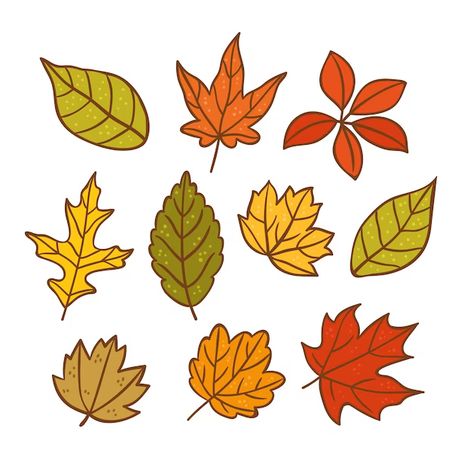 Fall Leaves Simple Drawing, Autumn Leaf Clipart, Fall Leaf Drawing Simple, Autumn Leaves Art Drawing, Fall Advertising Ideas, Autumn Leaf Doodle, Fall Leaves Clip Art, Cartoon Leaf Drawing, Easy Fall Leaf Drawing