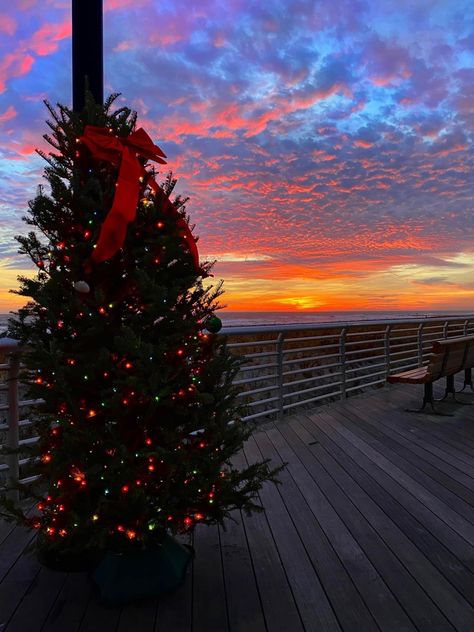 Summer Christmas Aesthetic, Christmas Sunset, Christmas On The Beach, Sunset Christmas, Christmas Australia, Beach Wallpaper Iphone, Long Beach Ny, Christmas Lights Outside, Christmas Tree Pictures