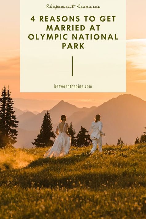 What do you get when you combine an Olympic National Park wedding with friends and family, pups, the cutest flower girl, and laid-back vibes? A pretty near-perfect elopement day if you ask me! Kelsey and Laura’s two-day Olympic National Park wedding was a true picture of what an intentional wedding day experience looks like. Visit the blog to see more from this incredible day and learn our top 4 reasons to plan a wedding in Olympic National Park. Reasons To Get Married, Cabin Wedding, Plan A Wedding, Two Brides, National Park Wedding, Beach Elopement, Olympic National Park, Park Wedding, Park Weddings