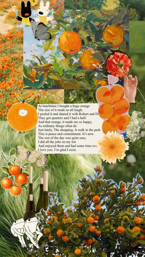 The Orange By Wendy Cope, Wendy Cope, Juice Party, Orange You Glad, Art Diary, Art Collage Wall, Aesthetic Iphone Wallpaper, Orange Juice, Pretty Words