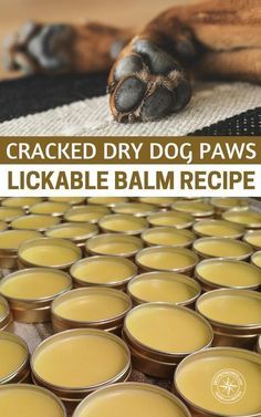 Cracked Dry Dog Paws Lickable Balm Recipe - Remember our dogs are domesticated. They are charming little beasts but to be honest they are soft. They are not wolves and many of them are not prepared to make a trek of miles and miles. You may scoff at this but dogs get out of shape too. They get injured and their little pads get beat up. If you don't have an answer for that you may be left with very few options for Fido. #pawsalve #dogs #dogowner #dogcare #petcare #allnatural #diy #frugal  Cracked Dry Dog Paws, Katt Diy, Dog Paw Balm, Dog Remedies, Paw Balm, Dog German, Cat Ideas, Dog Info, Dog Care Tips