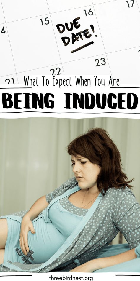 When your doctor decides on inducing your labor it can be a real surprise. But knowing what to expect will ease your mind and help make you feel more comfortable with the idea of an induced labor. Click the pin to educate yourself on Labor Induction so you'll know what to expect during childbirth. childbirth induction, labor tips, being induced, labor inducing, labor induction, induction labor Labor Inducing, Inducing Labor, Labor Induction, Labor Tips, Induction Labor, Ease Your Mind, Stages Of Labor, Induce Labor, About Pregnancy