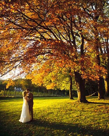 Fall Backdrops, Rustic Fall Wedding, Martha Stewart Weddings, Photo Couple, E Card, Wedding Pics, Here Comes The Bride, Wedding Bells, Country Wedding